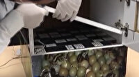 Mardin'de kuluçka makinesinden kaçak sigara çıktı