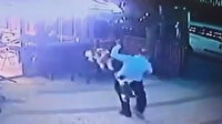 Köpeğini gezdirirken kedi saldırısına uğrayan adamın korku dolu anları kamerada