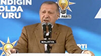 Cumhurbaşkanı Erdoğan'dan Hollandalı vekile: Haddini bil!