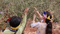 Yetim çocuklar barış ve kardeşlik için zeytin topladı