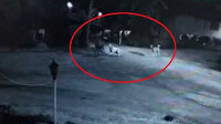 Köpeklerin saldırısına uğrayan yaşlı adam ölümden döndü
