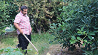 Hırsızların yeni gözdesi: Sopalı nöbete başladılar