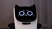 Rusya'daki kafede ilginç koronavirüs önlemi: Robot kedi garsonluk yapıyor