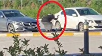 Öfke krizi cinayet getirdi: Dinlenme tesisinde tartıştığı kişiyi öldüren kadın 'Bir anlık sinirle yaptım' dedi