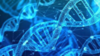 Türk bilim insanlarından kaçak alkolden ölümleri bitirecek buluş: Damladaki DNA'dan iz sürülecek