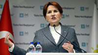 Meral Akşener geçmişini unuttu: 2016 yılında attığı tweet ortaya çıktı