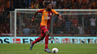 Aslan ağır yaralı