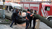Kamyonun çarptığı ağaç minibüsün üstüne devrildi
