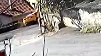 Sarıyer'de kontrolden çıkan ticari taksi evin bahçesine daldı