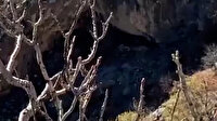 Bitlis'te, PKK'lı teröristlere ait tek odalı 3 mağara tespit edildi