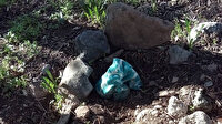 Bebek gömülü sandılar ama köpek cesedi çıktı