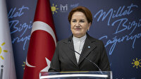 Akşener "HDP ile anayasa yaptık" diyen Kaboğlu hakkında konuştu: Sevdiğimi söyleyemeyeceğim