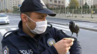 Ataşehir'de denetim yapan polis ekiplerine karga sürprizi