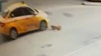 Pendik’te vicdansız taksicinin köpeğe çarpıp kaçtığı anlar kamerada