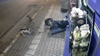 Antalya'da üç sokak köpeğinin saldırısına uğrayan vatandaş böyle kurtuldu