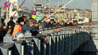 Galata'da balık sevdası: Ne koronavirüs, ne soğuk dinliyorlar