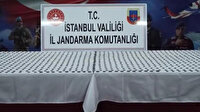 Tarihi sikkeleri arsayla takas etti ama zararlı çıktı
