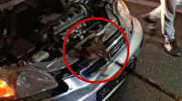 Bartın'da otomobilin motoruna giren tilkiyi itfaiye ekipleri kurtardı