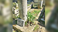 Hattatların piri için üç ayrı sergi