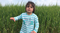 4 yaşındaki Leyla cinayeti davasında yeni gelişme: Müebbet hapis cezası alan amca tahliye edildi