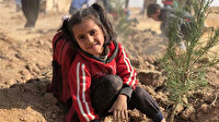 Tel Abyad yeşile bürünecek: Türkiye 75 bin fidan dikti
