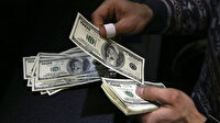 Dolar güne kaç liradan başladı?