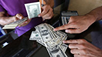 Doların fiyatı kaç lira oldu?