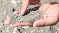 Tek kullanımlık plastikler yasaklanmalı: Paketli gıdalarda 'mikroplastik' tehlikesi