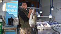 Altı kiloluk levrek 780 liradan satılıyor