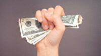 Bankalardaki döviz mevduatı yüzde 3,3 eridi: Değer kaybının sürmesi bekleniyor