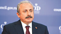 TBMM Başkanı Şentop: Dijital darbeleri önlemek için düzenleme şart