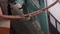 Bursa'da çaydanlıkla polise saldıran kadın serbest kalınca mahalle sakinlerine sopayla saldırdı