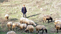 60 yıldır dağlarda ve yaylalarda: Biz korona morona görmedik