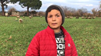 12 yaşındaki küçük çoban sosyal medyanın yeni fenomeni oldu