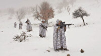 Lice’de Eren-2 operasyonu