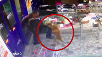 Başıboş gezen pitbull, anneannesiyle markete giden küçük kıza saldırdı