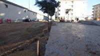 Semaverde çay yapmak için ağacı kesti