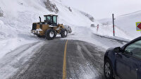 Meteoroloji'den iki bölge için çığ uyarısı!