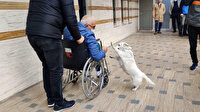 Günlerdir hastane kapısında bekleyen köpeğin sahibiyle buluşma anı izleyenleri duygulandırdı