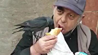 Döner yiyen adam koluna konan kargayla yemeğini paylaştı