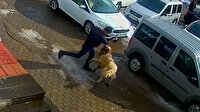 Bitlis'te kendisine saldıran köpeği yumruklayarak kurtulan adam kamerada