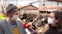 İletişim Başkanı Fahrettin Altun'dan yalan haber yapan Fox TV'ye tepki: Ayıptır, günahtır. Yapmayın!