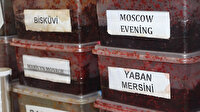 Aromaya aldanmayın: Bir nargile 2 paket sigaraya eş değer