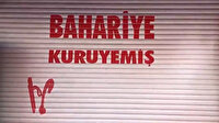 Provokatörlerin hedef gösterdiği 'Bahariye Kuruyemiş' kepenk indirdi