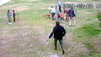 Antalya’da Pitbull dehşeti: Dişlerinin arasından zor kurtardılar