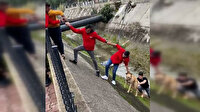 Su kanalına düşen köpek el birliğiyle kurtarıldı