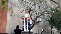 Adana'da sepet sarkıtarak satış yapan uyuşturucu tacirine suçüstü