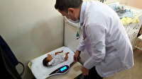 Prematüre bebek 23 haftalıkken 700 gram doğdu: Sağlığına 33 günde kavuştu