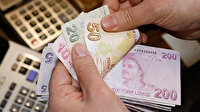 İngiliz Capital Economics: Bu yılın en çok değerlenen para birimi Türk Lirası