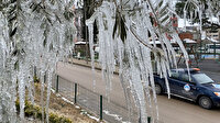 Hortumundan fışkıran su, ağaçlarda sarkıt oluşturdu